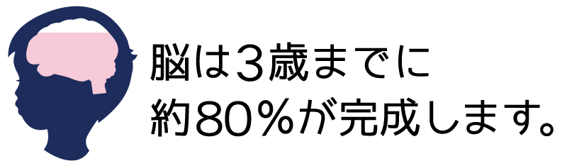 脳は３歳までに約80%が完成します。